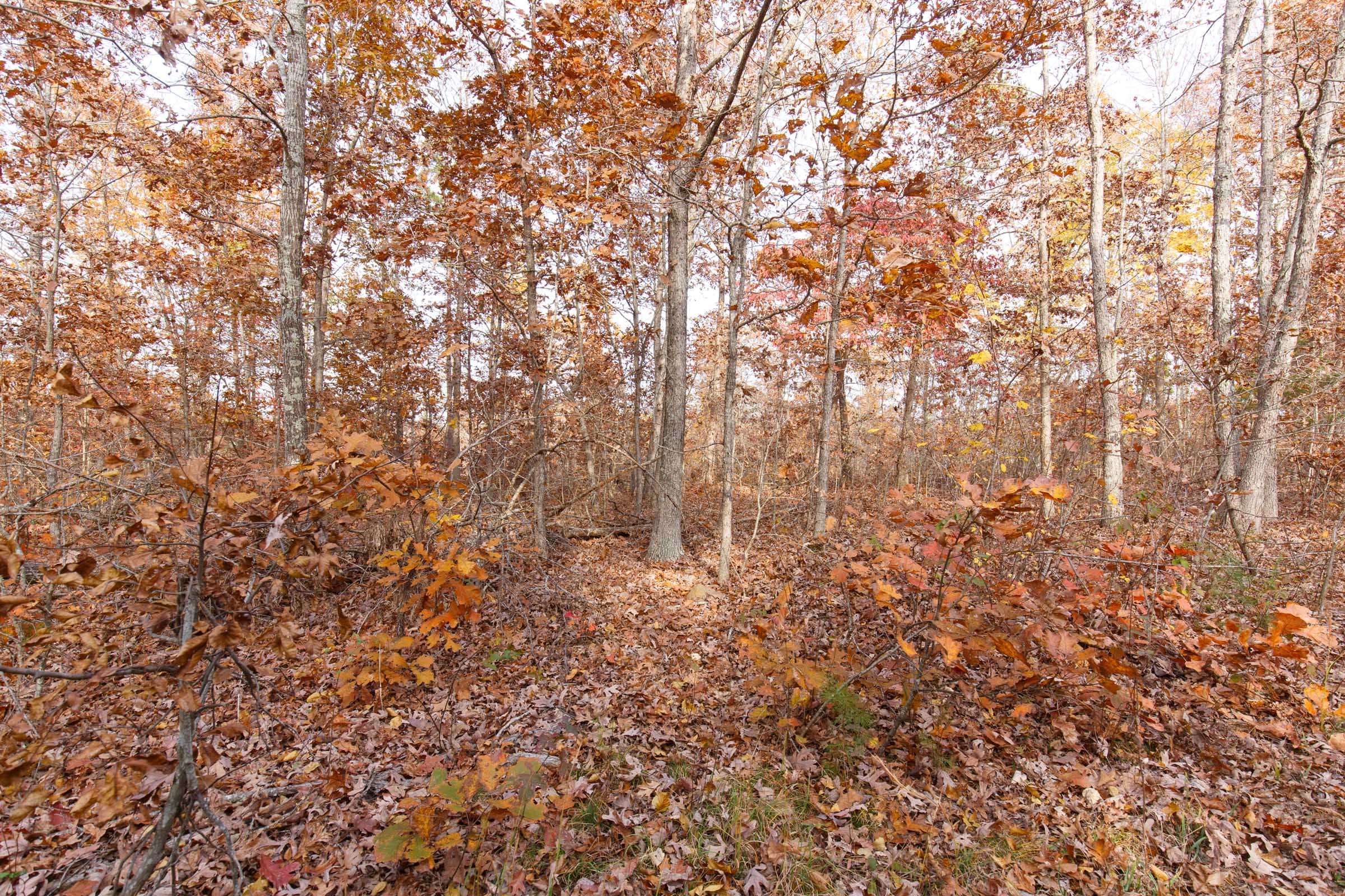 Hawkcrest Tract 30 photo 3