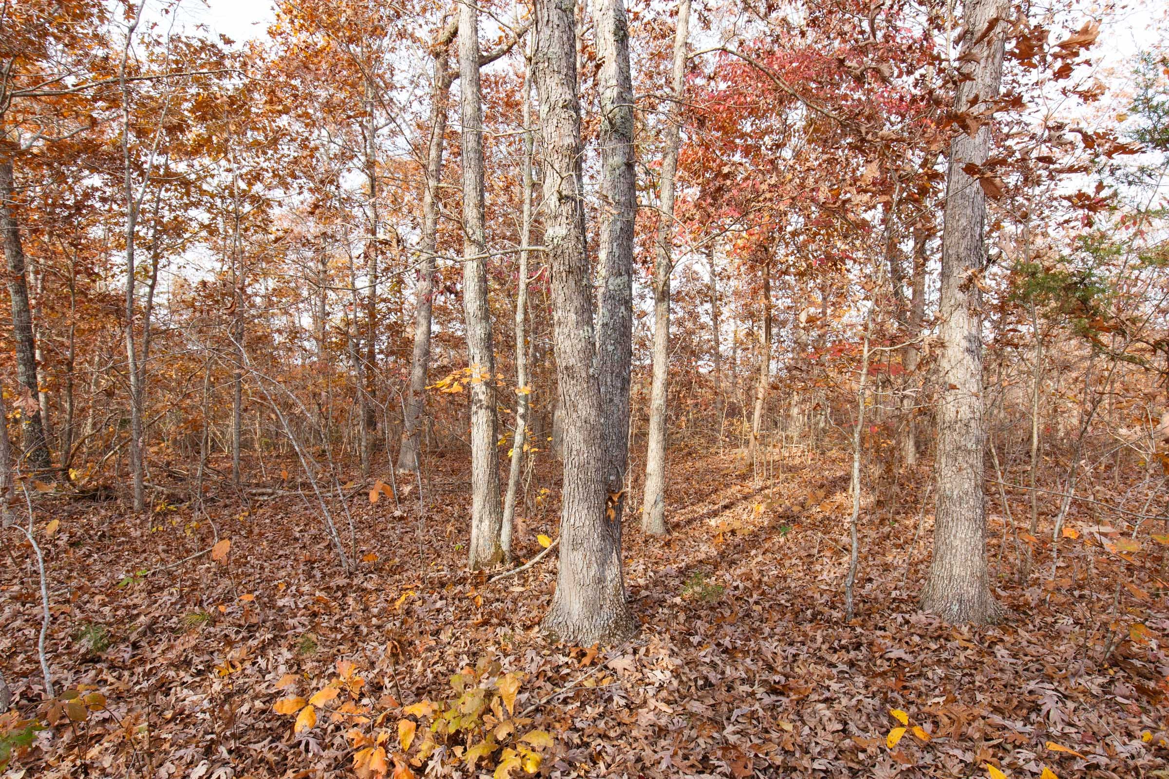 Hawkcrest Tract 30 photo 6