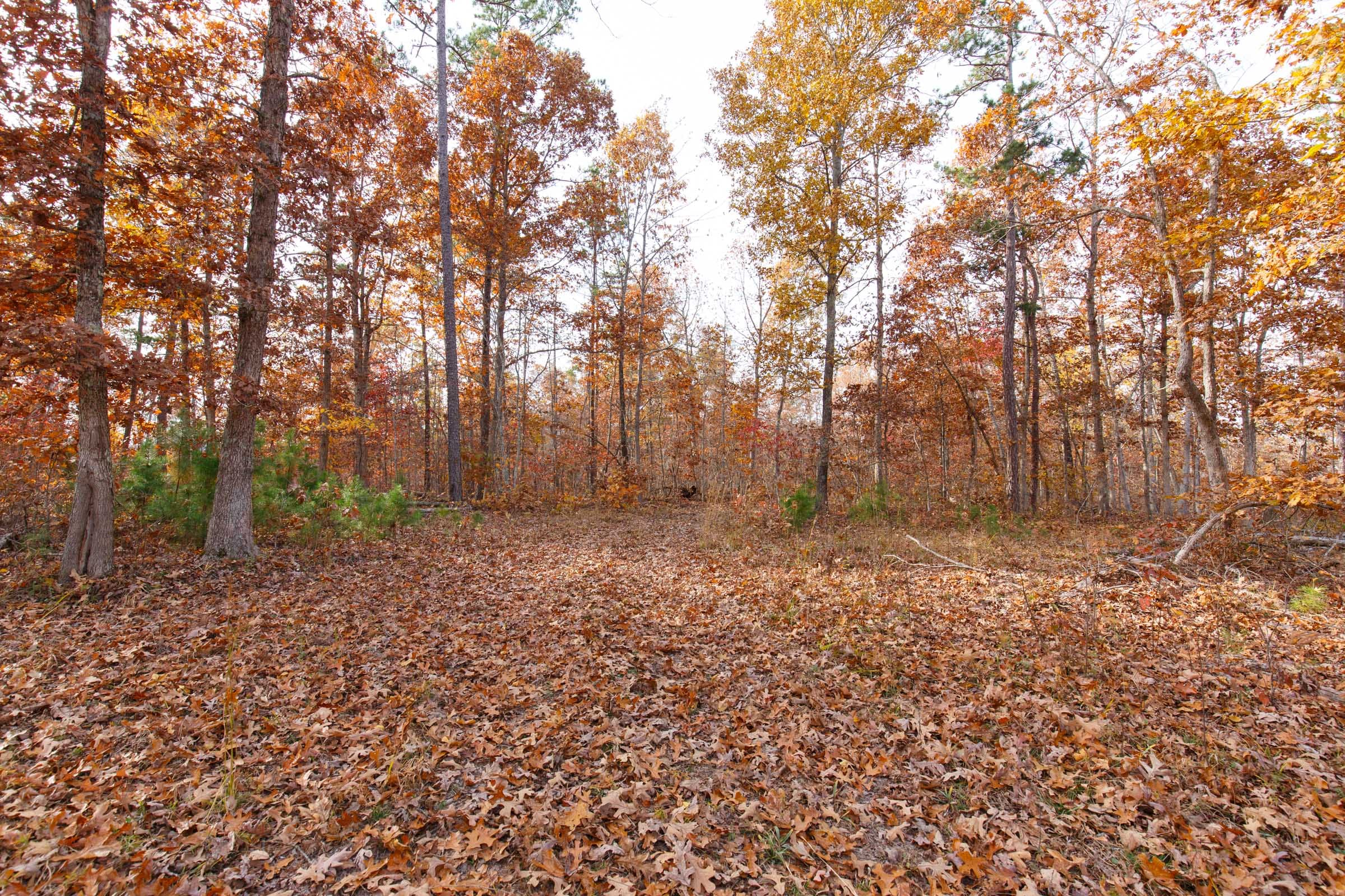 Hawkcrest Tract 30 photo 1