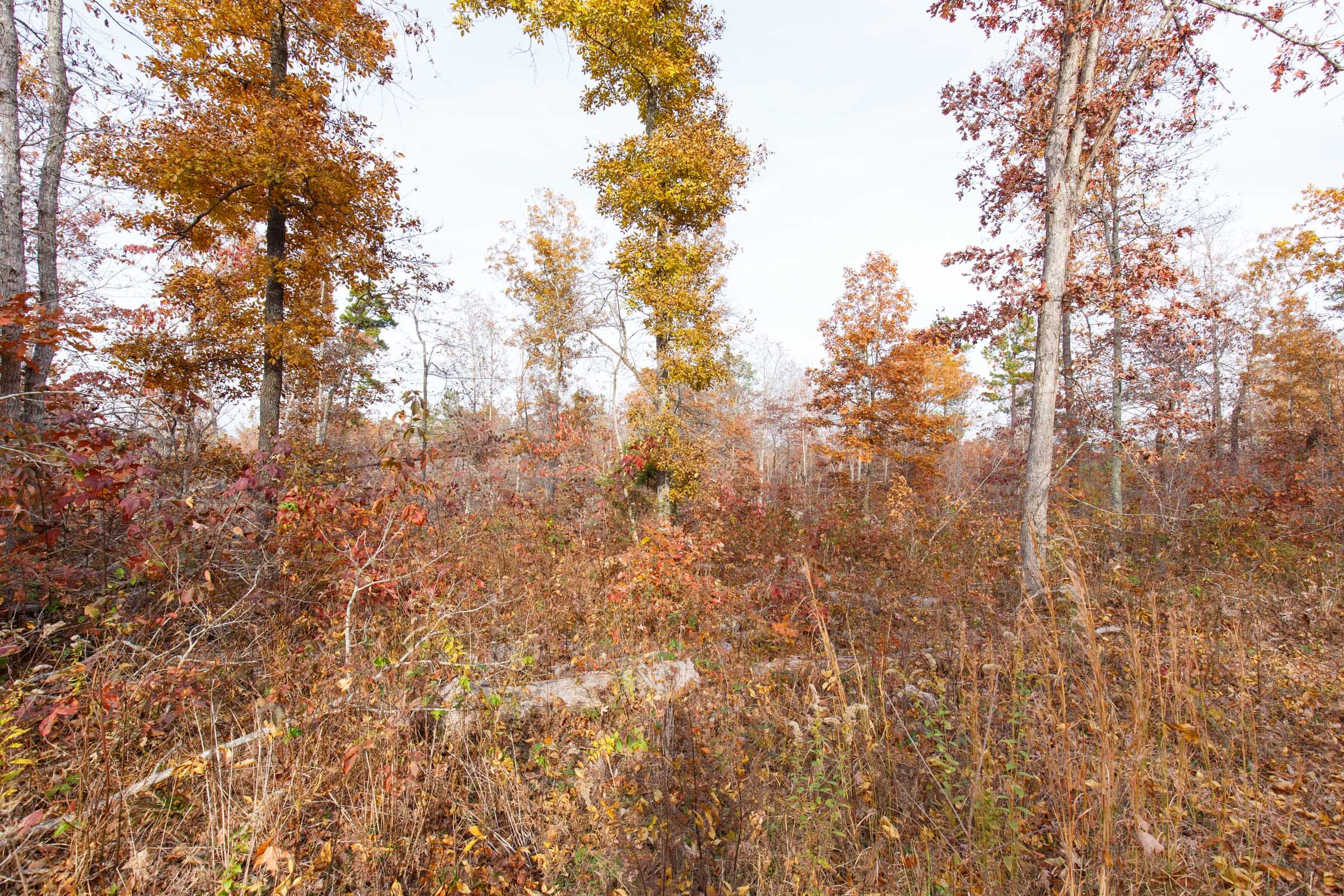 Hawkcrest Tract 30 photo 9