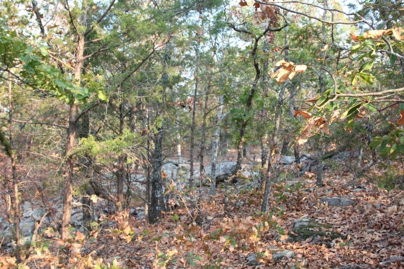 Lake View Ranch Tract 14 photo 1