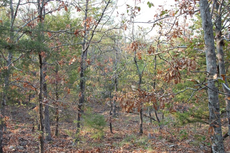 Lake View Ranch Tract 14 photo 2