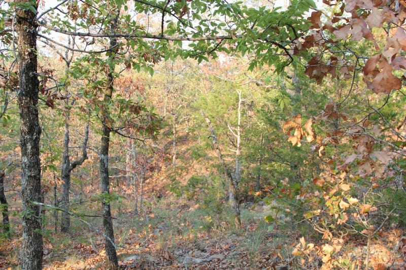 Lake View Ranch Tract 14 photo 3