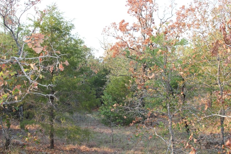 Lake View Ranch Tract 14 photo 4