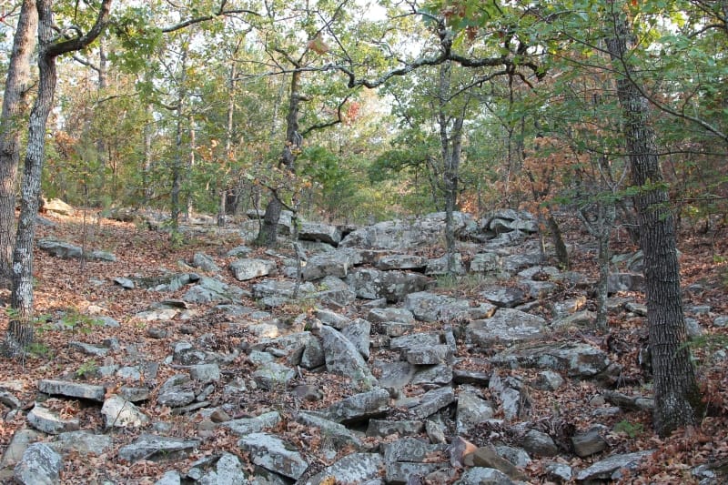 Lake View Ranch Tract 14 photo 5