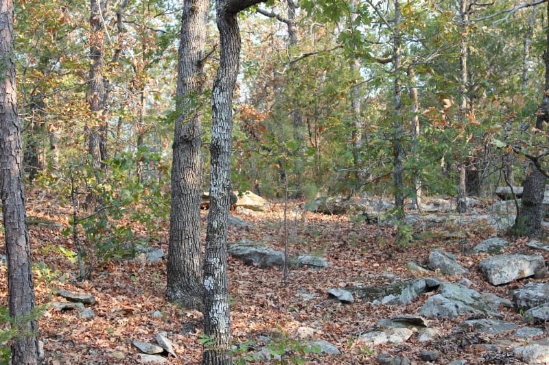Lake View Ranch Tract 14 photo 6