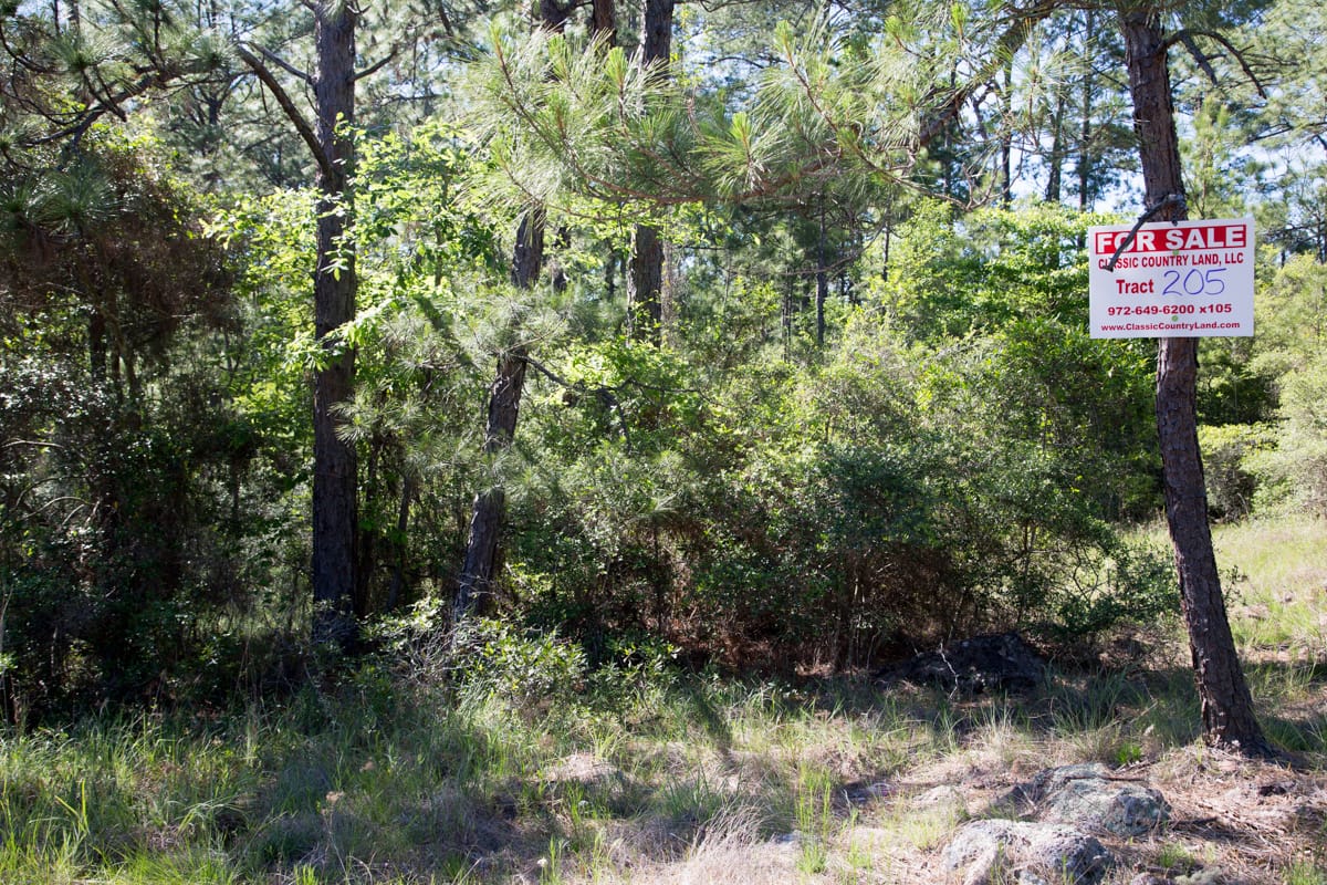 Rayburn Country Tract 205 photo 2