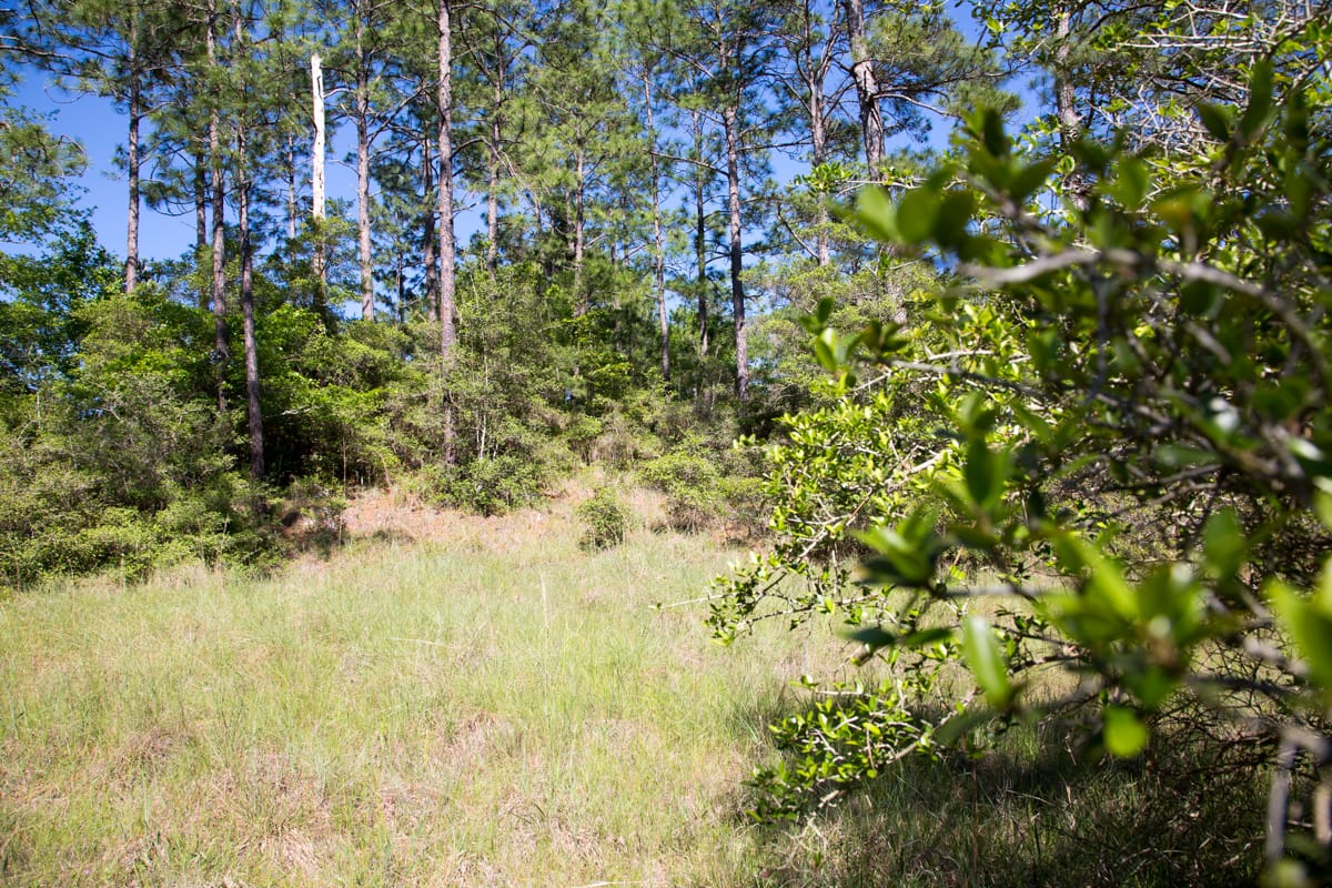 Rayburn Country Tract 205 photo 10
