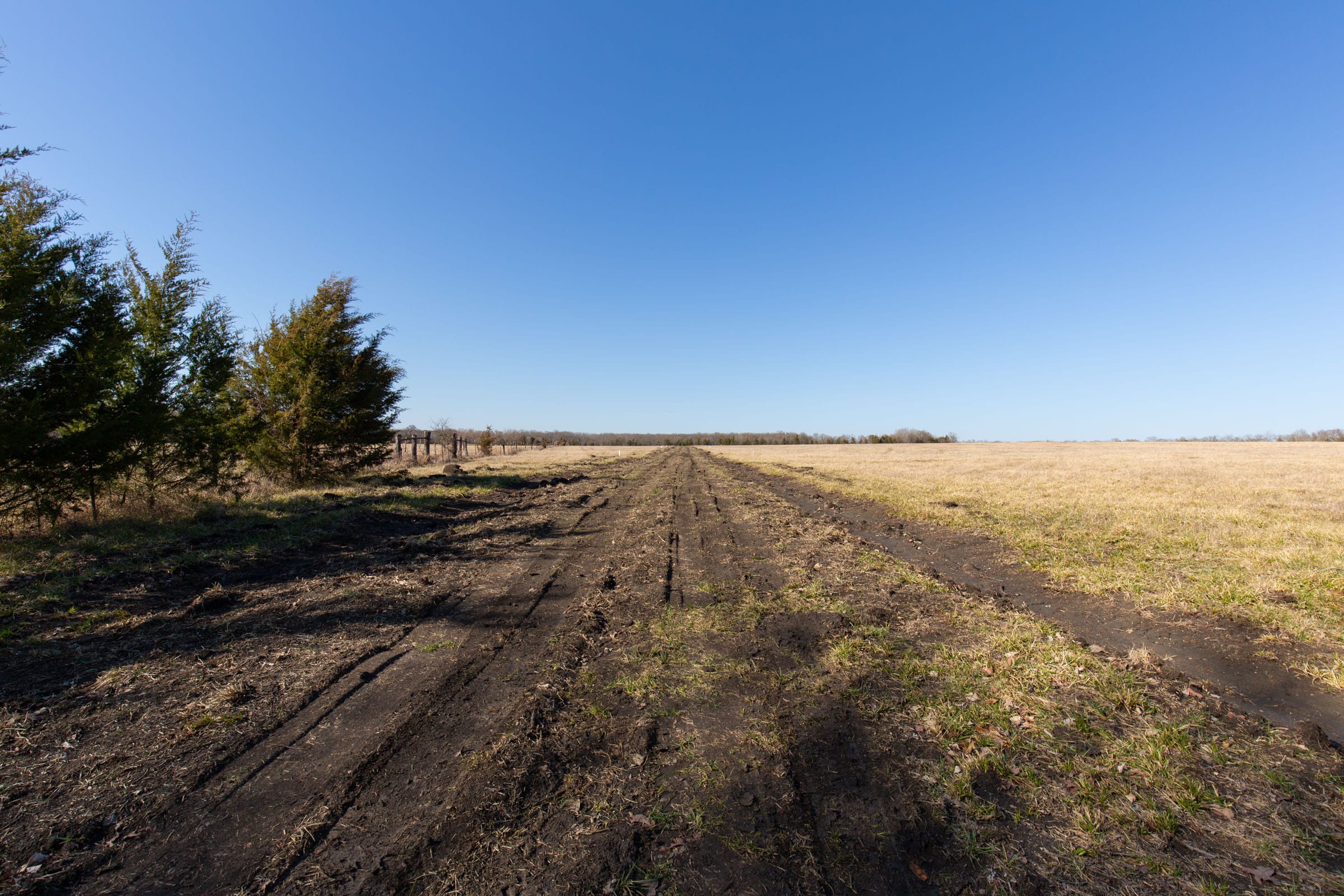 Wishing Star Ranch Tract 81 photo 1