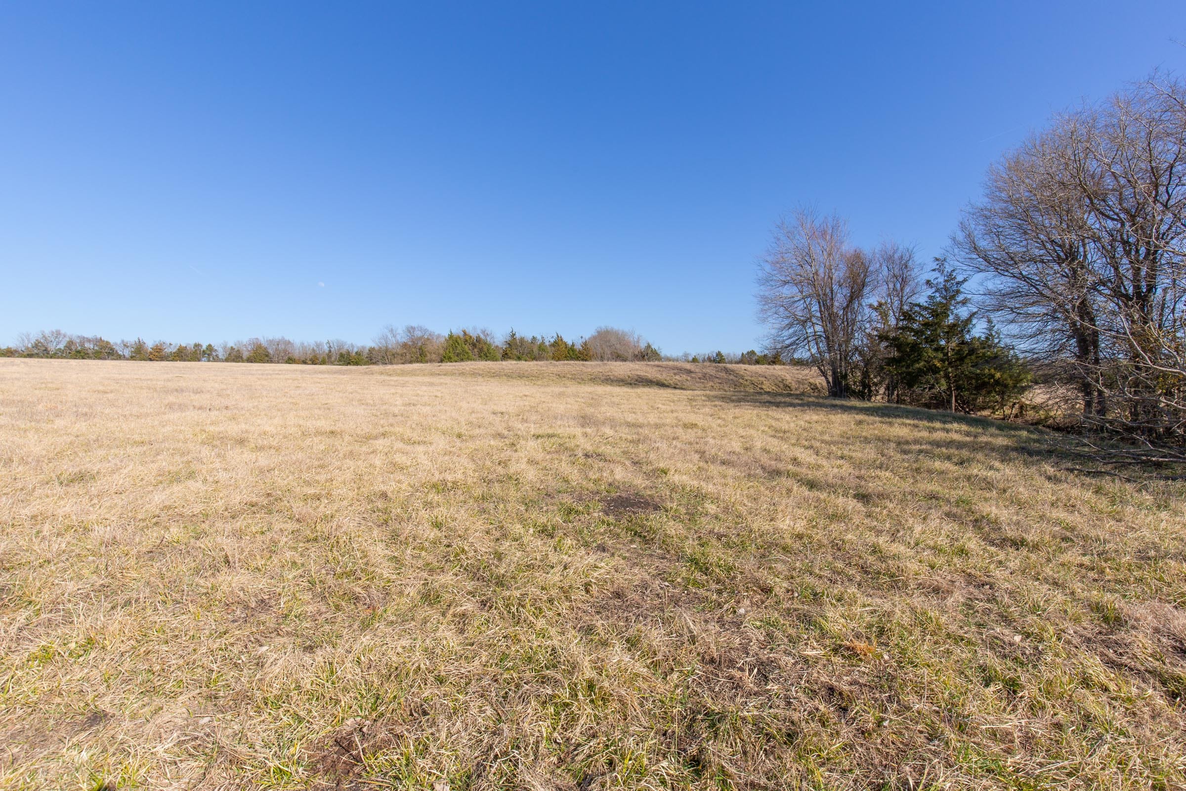 Wishing Star Ranch Tract 81 photo 5