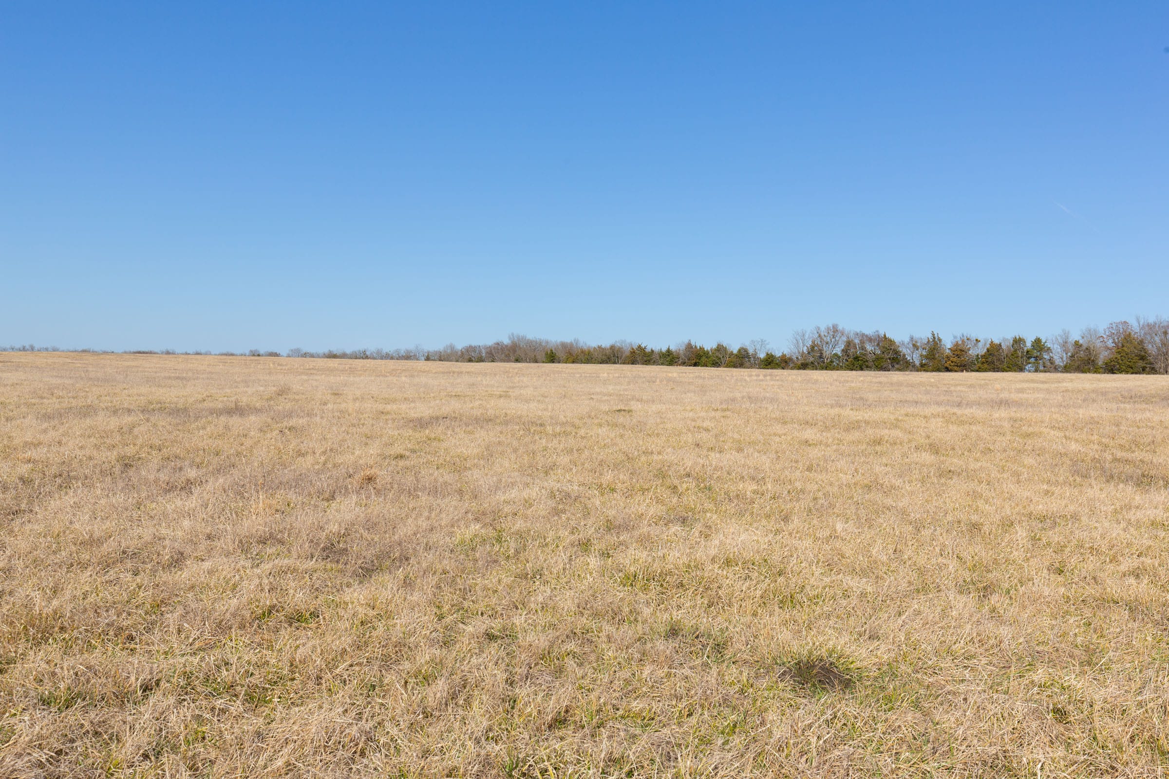 Wishing Star Ranch Tract 81 photo 6