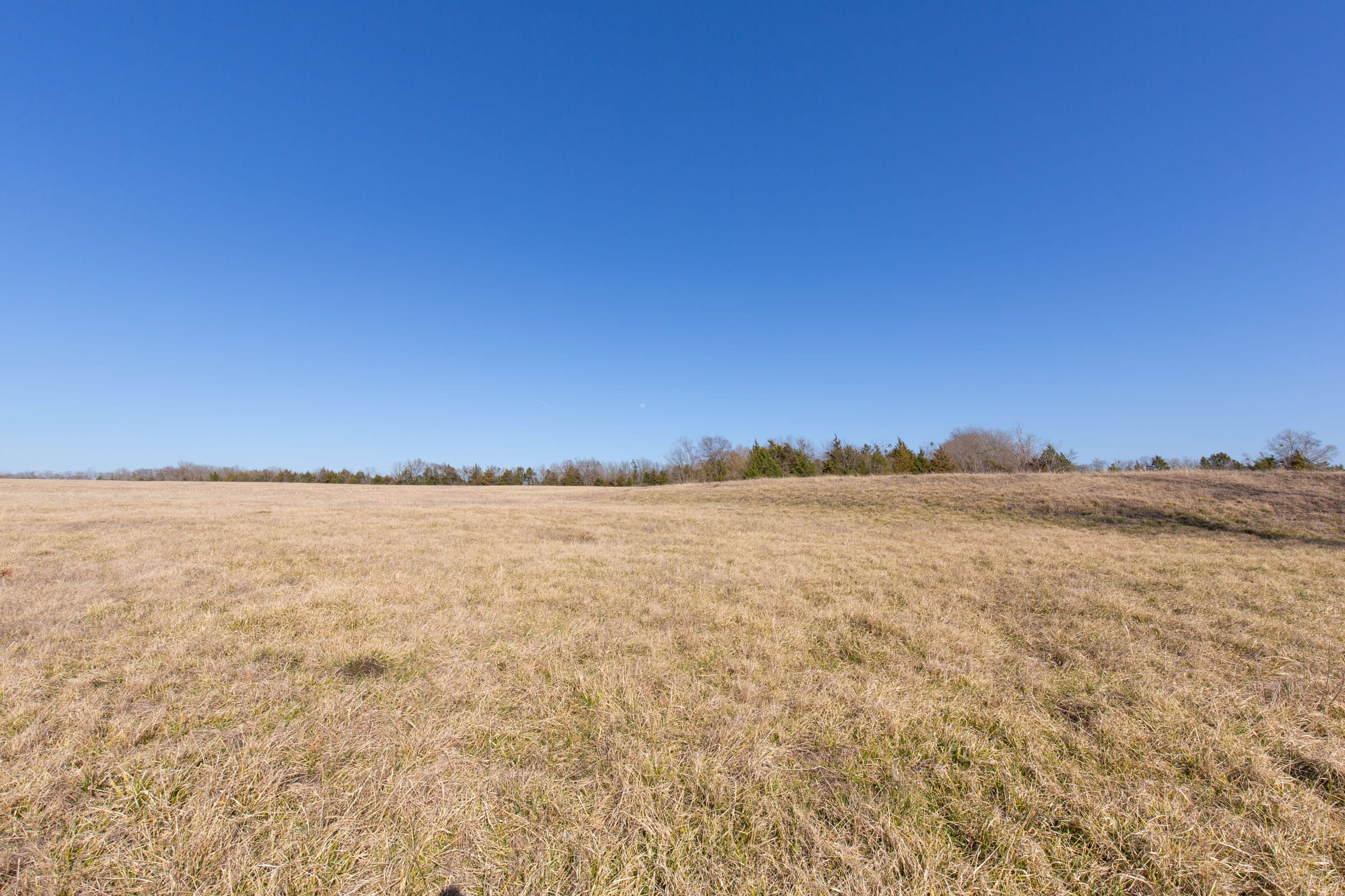 Wishing Star Ranch Tract 81 photo 7