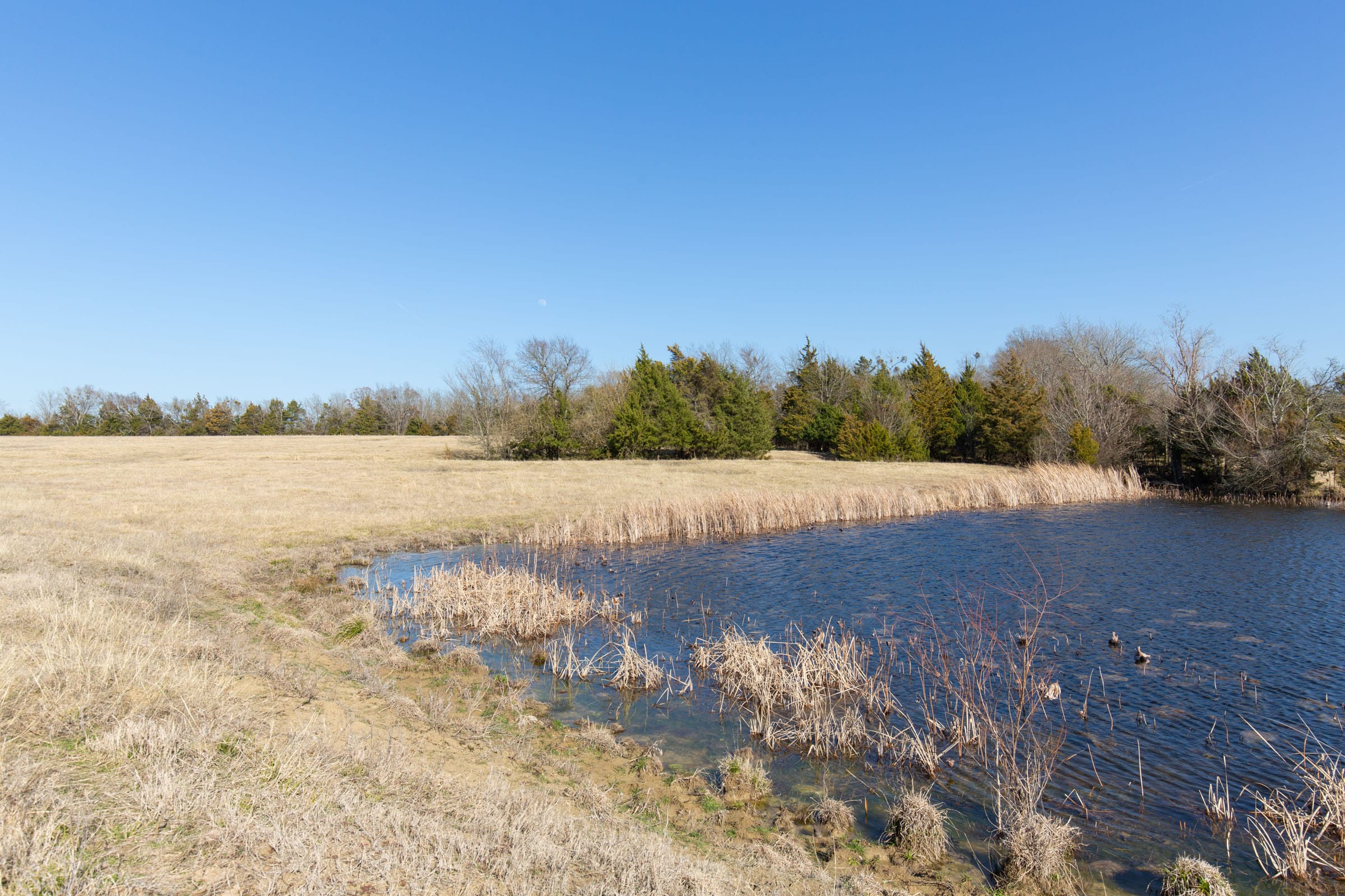 Wishing Star Ranch Tract 81 photo 3