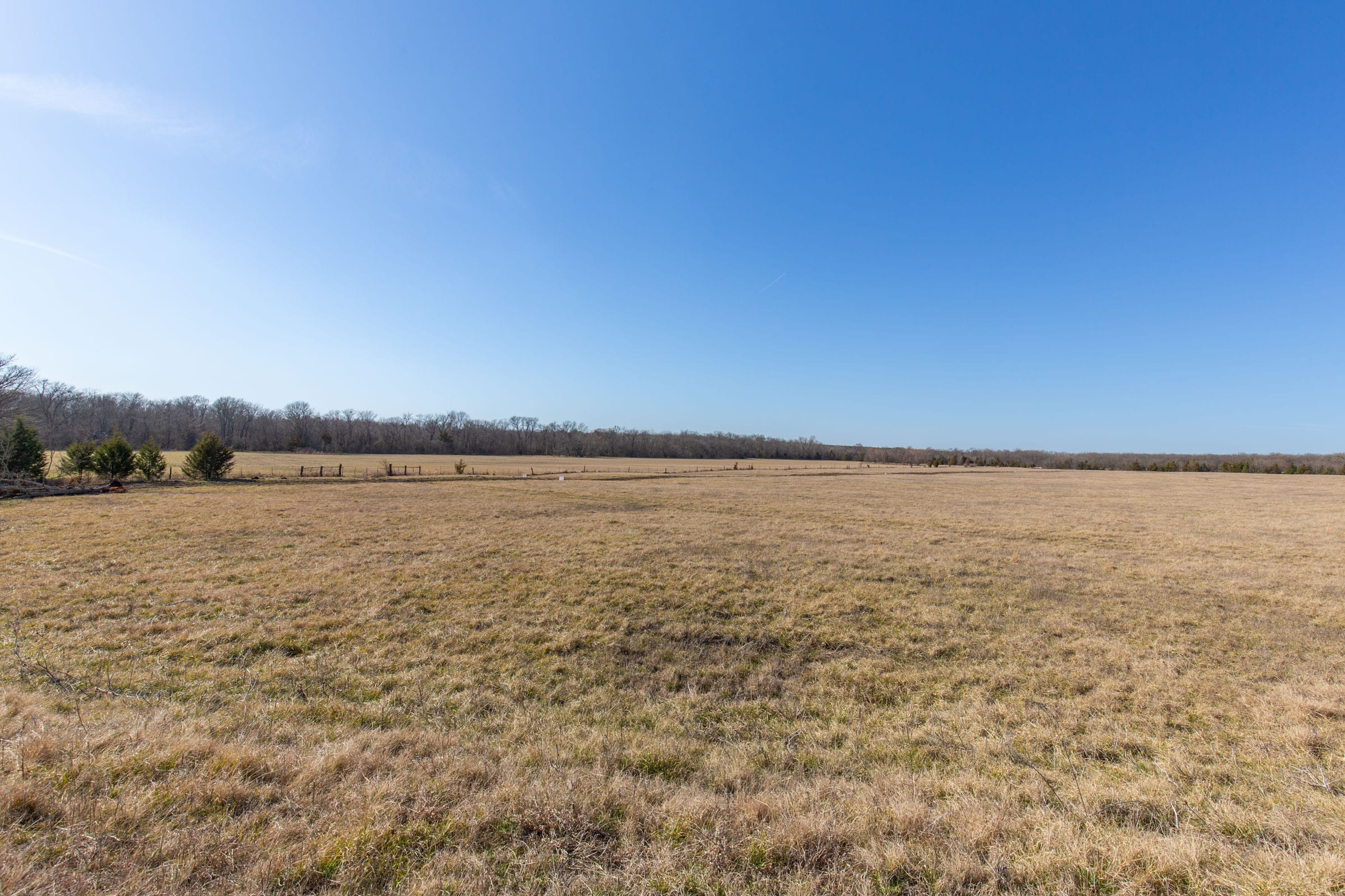 Wishing Star Ranch Tract 81 photo 8