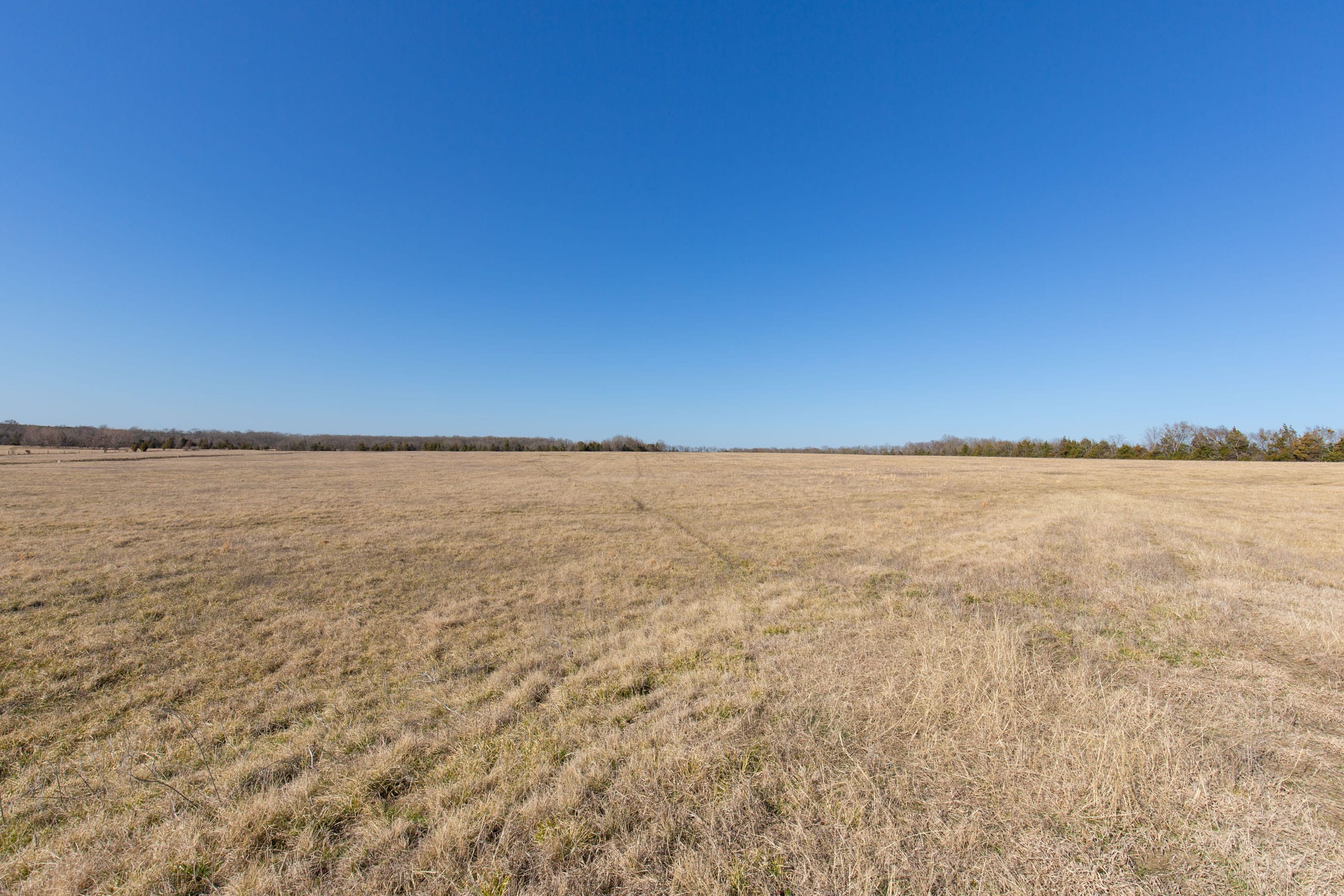 Wishing Star Ranch Tract 81 photo 9