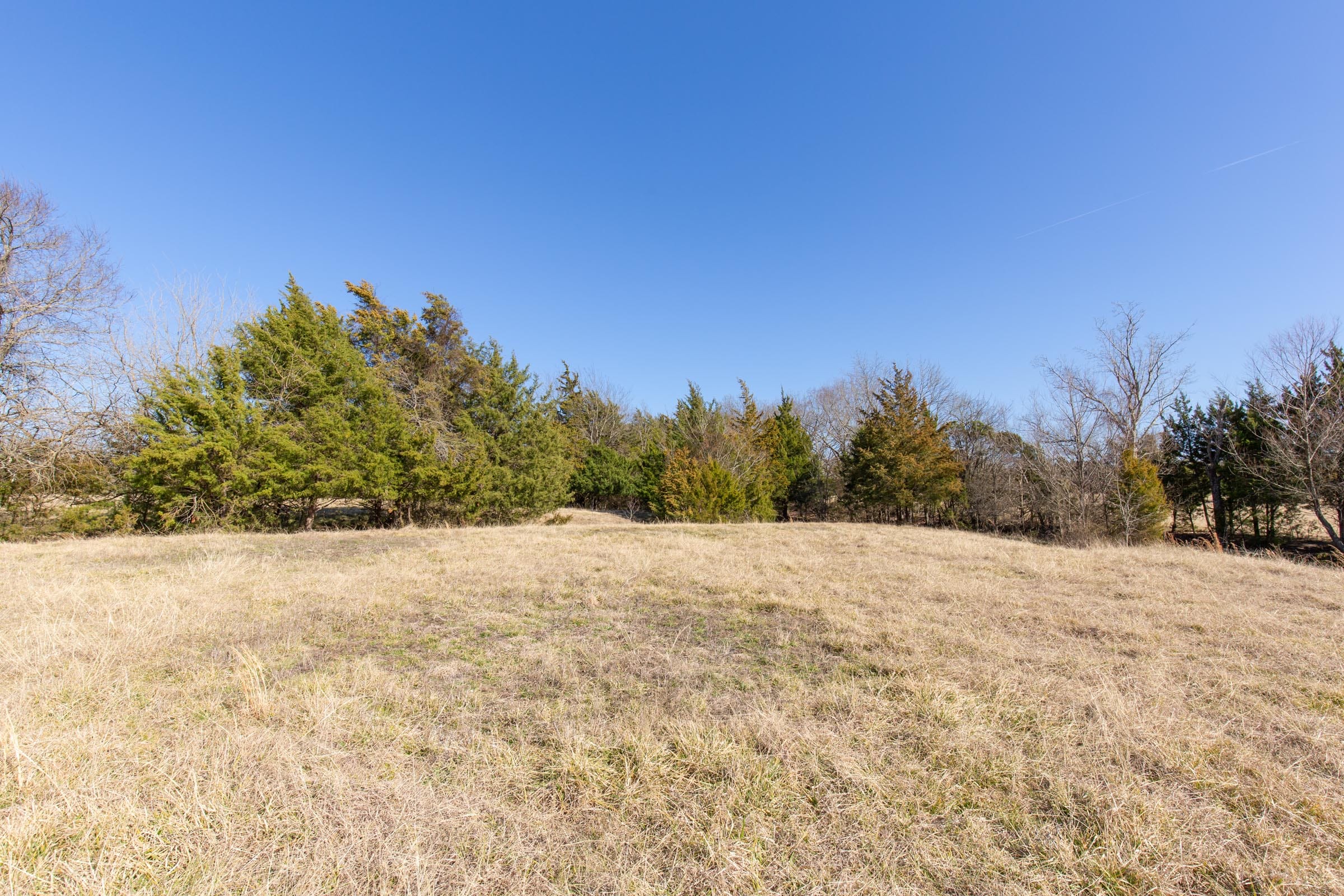 Wishing Star Ranch Tract 81 photo 10