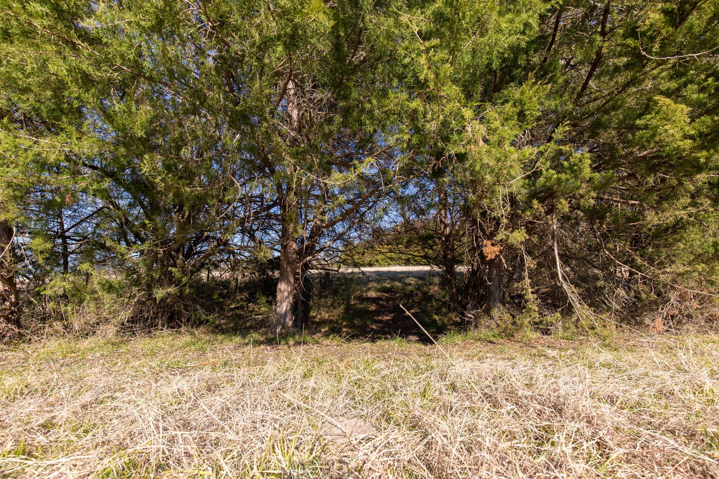 Wishing Star Ranch Tract 81 photo 11