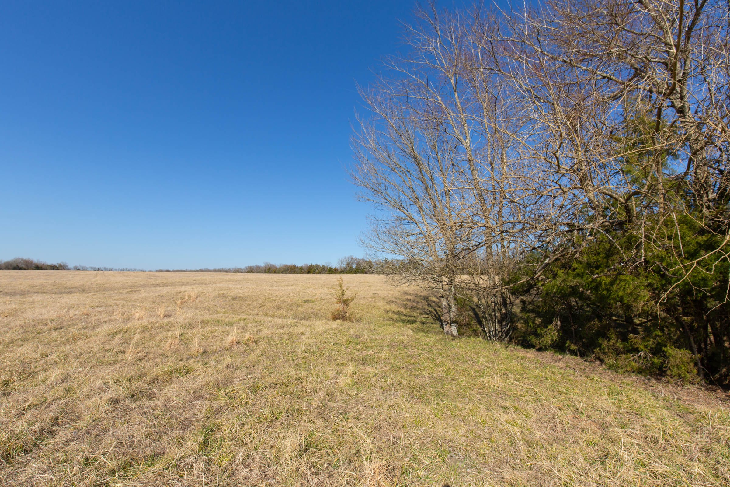 Wishing Star Ranch Tract 81 photo 12
