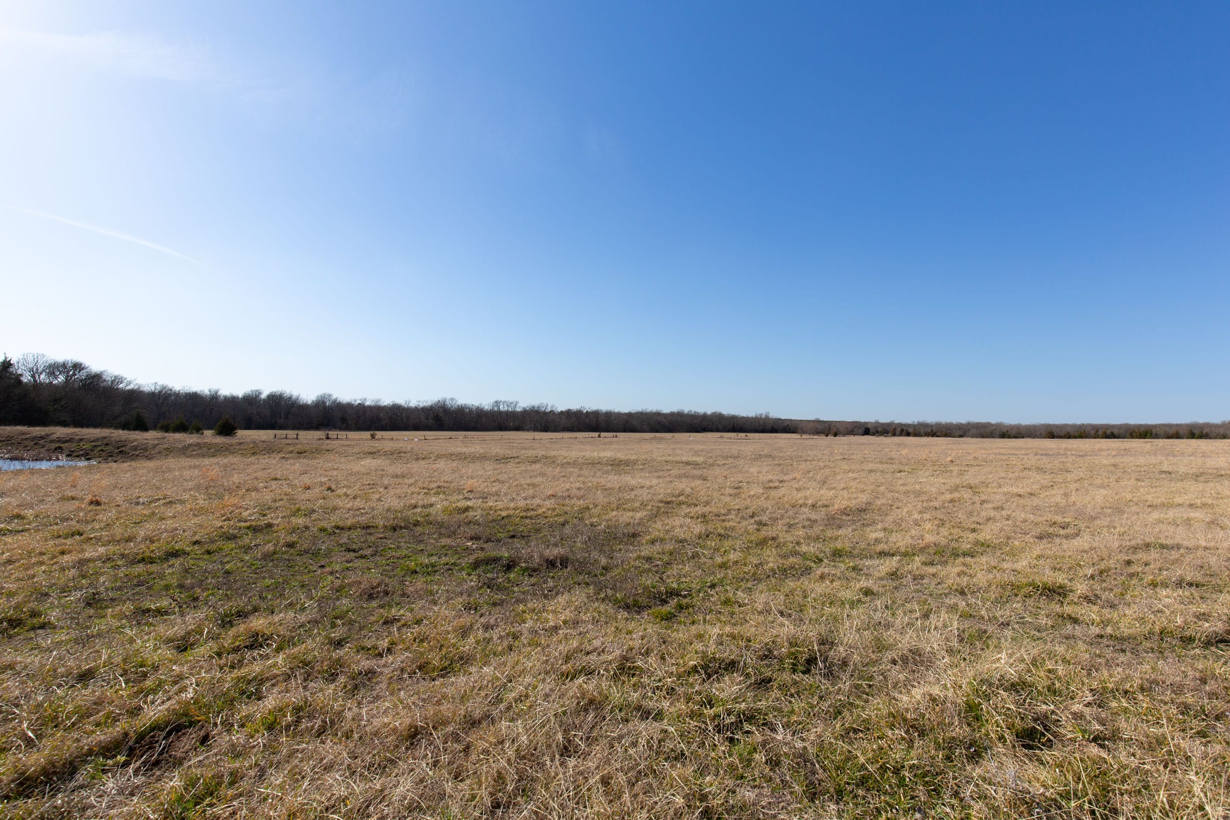 Wishing Star Ranch Tract 81 photo 13