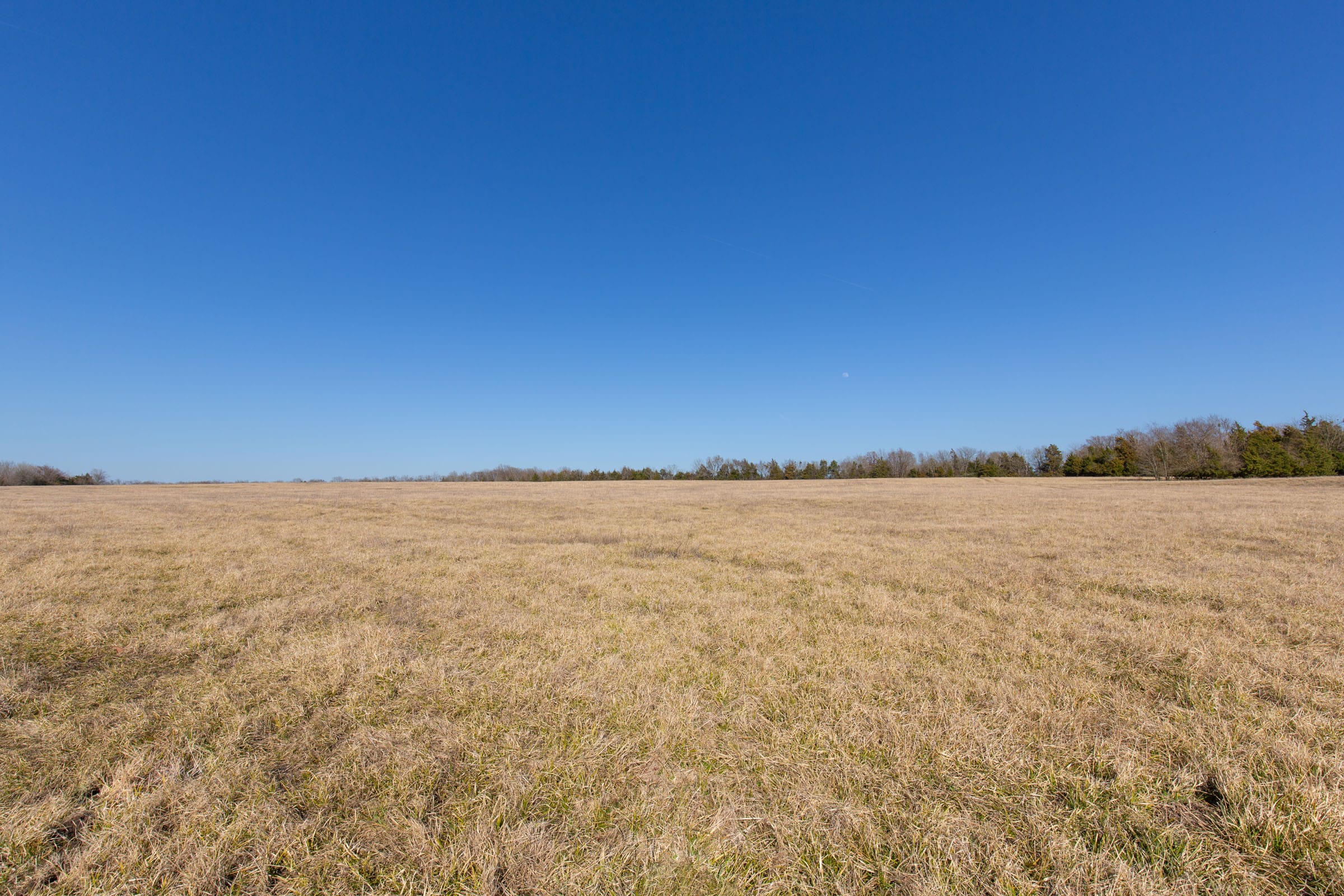 Wishing Star Ranch Tract 81 photo 14