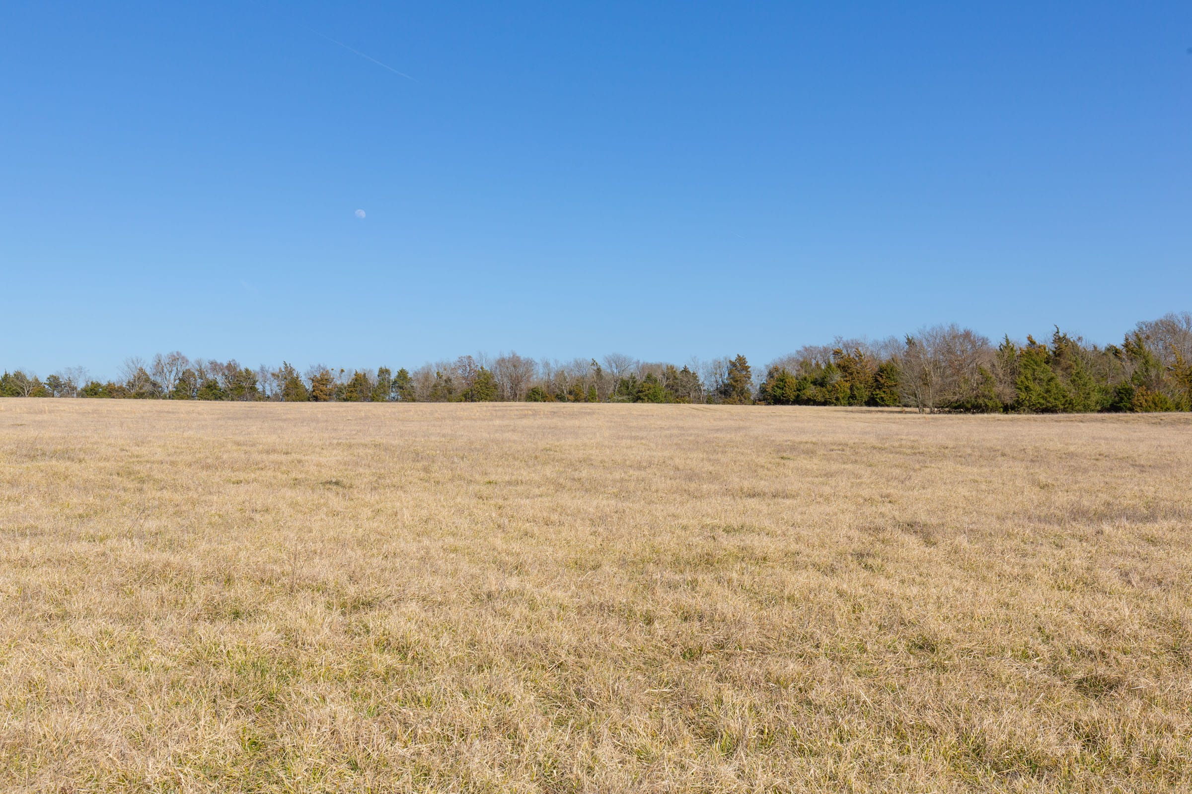 Wishing Star Ranch Tract 81 photo 15