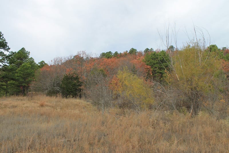 Indian Ridge – Phase I Tract 18 photo 3