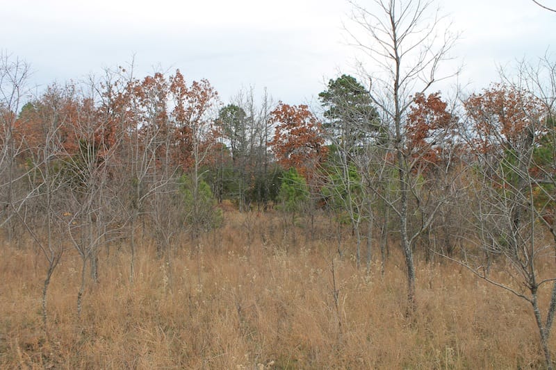 Indian Ridge – Phase I Tract 18 photo 4