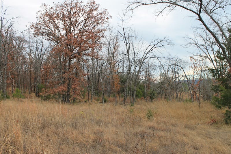 Indian Ridge – Phase I Tract 18 photo 5