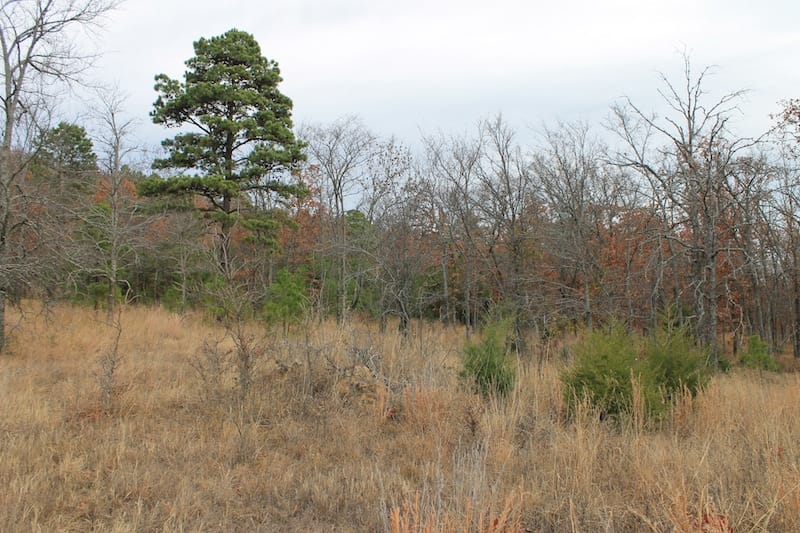 Indian Ridge – Phase I Tract 18 photo 6