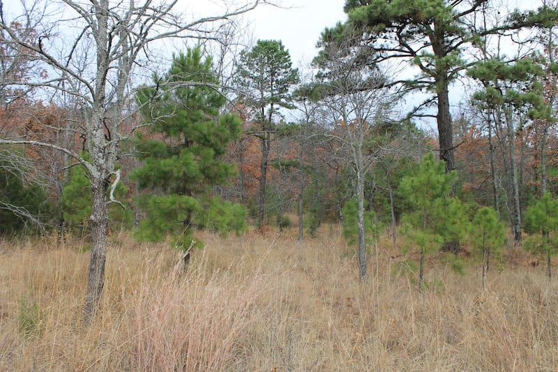 Indian Ridge – Phase I Tract 18 photo 7