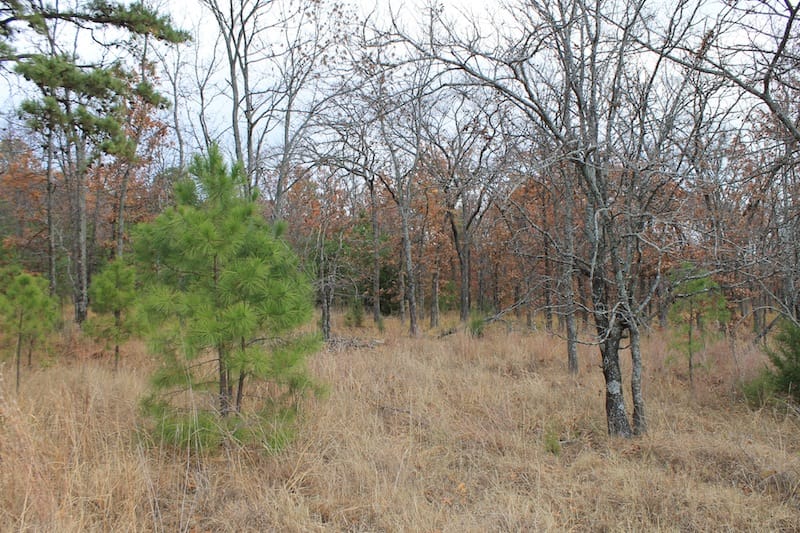 Indian Ridge – Phase I Tract 18 photo 8