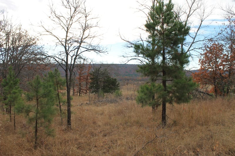 Indian Ridge – Phase I Tract 18 photo 9