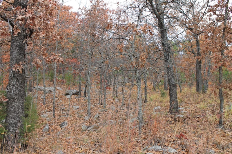 Indian Ridge – Phase I Tract 18 photo 10