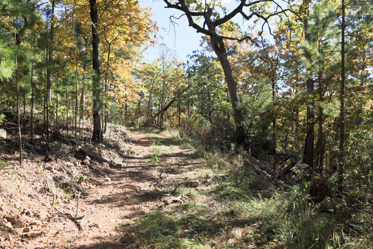 Stone Creek Phase I Tract 188 photo 2