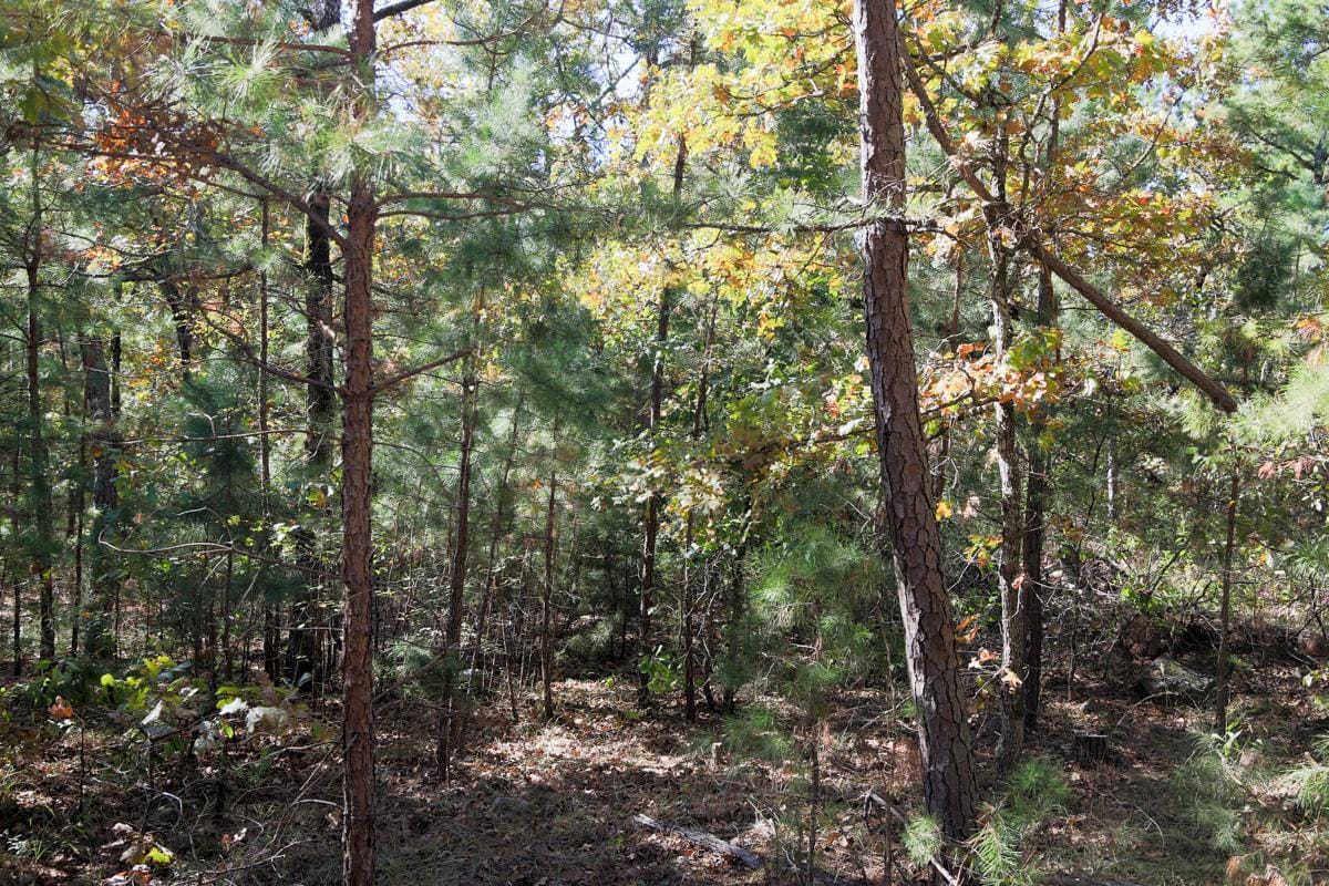 Stone Creek Phase I Tract 188 photo 13