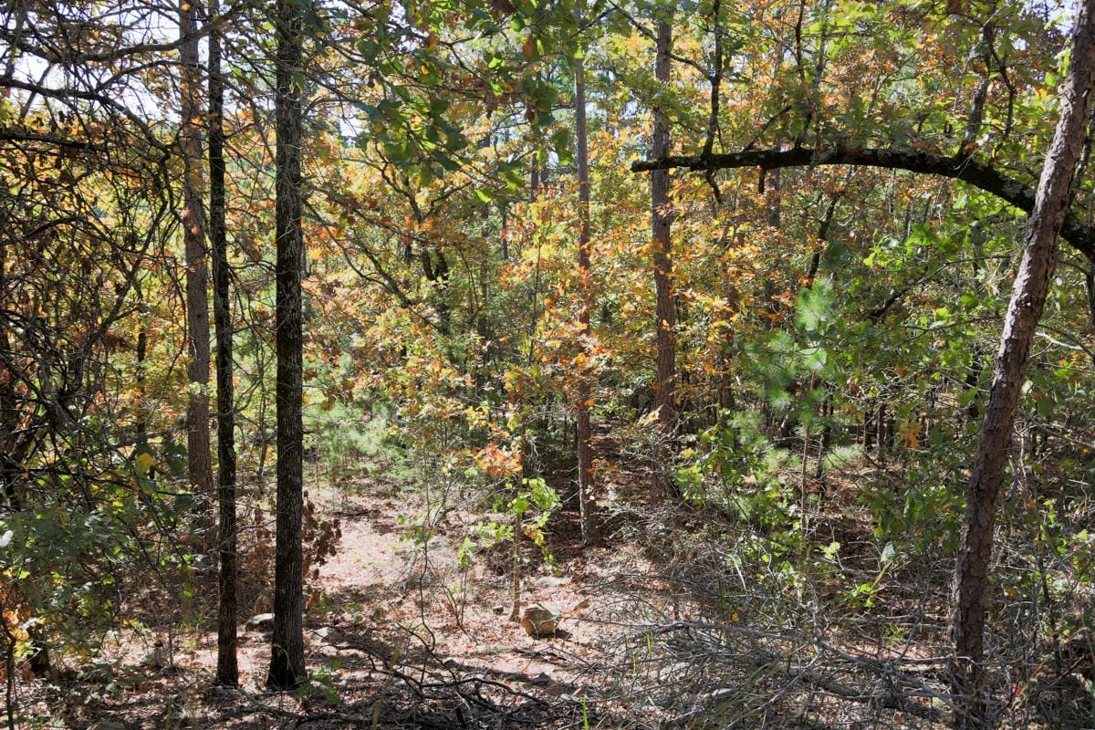 Stone Creek Phase I Tract 188 photo 14