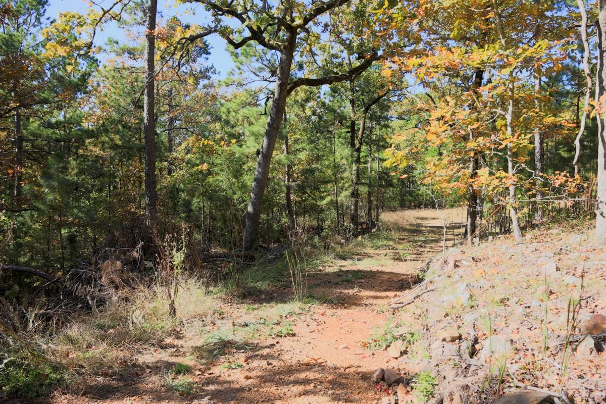 Stone Creek Phase I Tract 188 photo 15