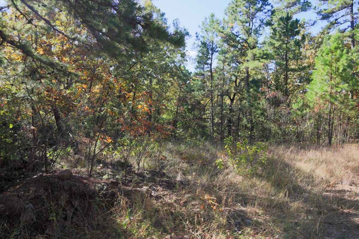 Stone Creek Phase I Tract 188 photo 16