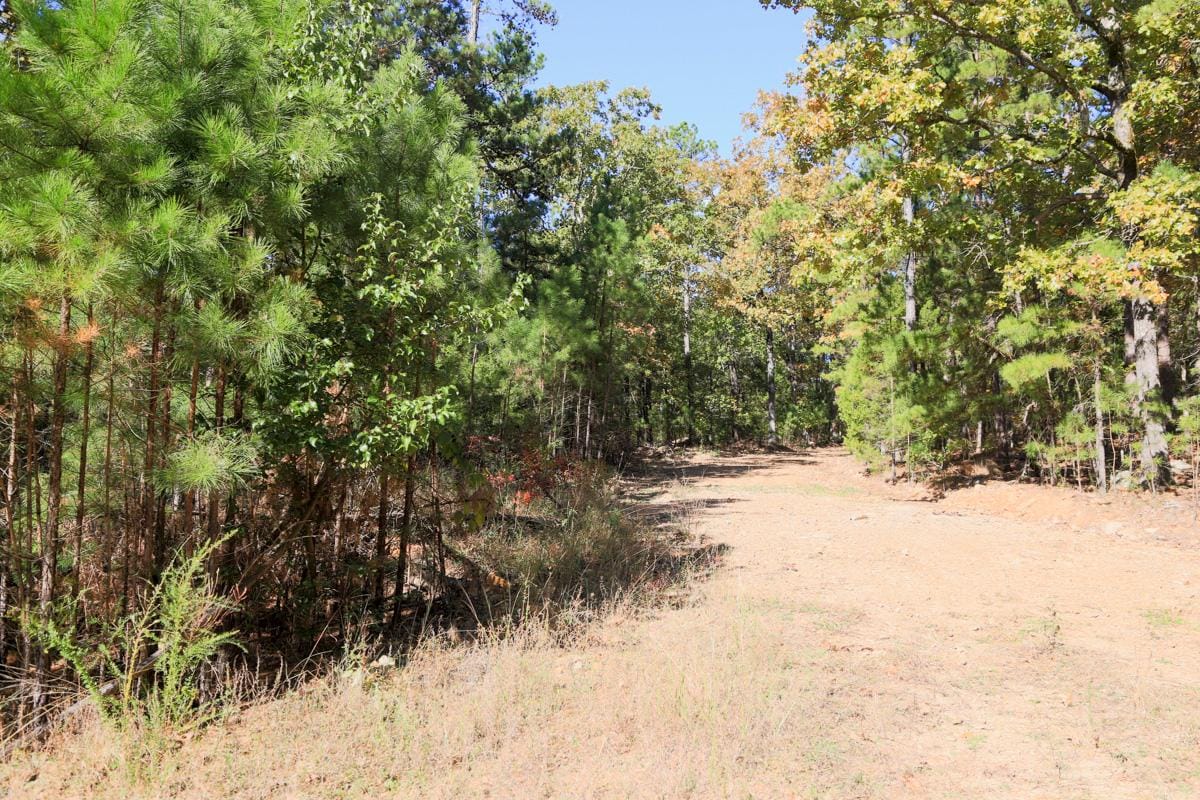 Stone Creek Phase I Tract 188 photo 9