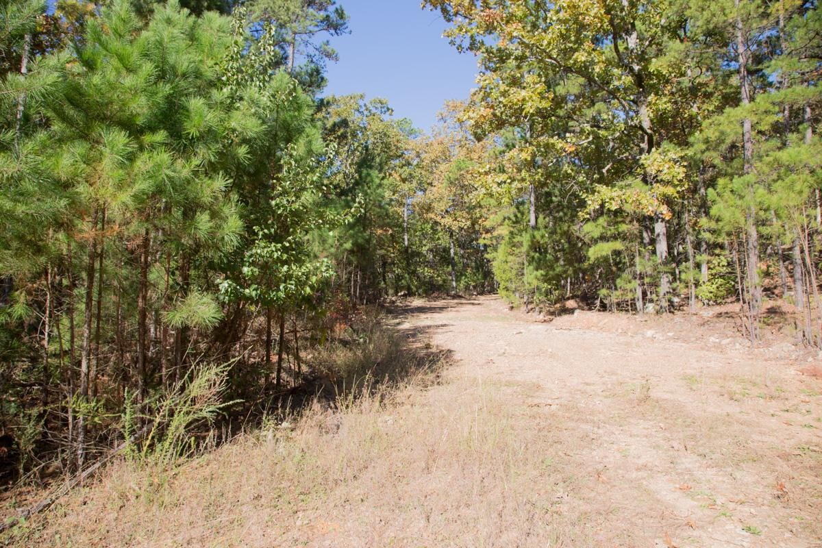 Stone Creek Phase I Tract 188 photo 17
