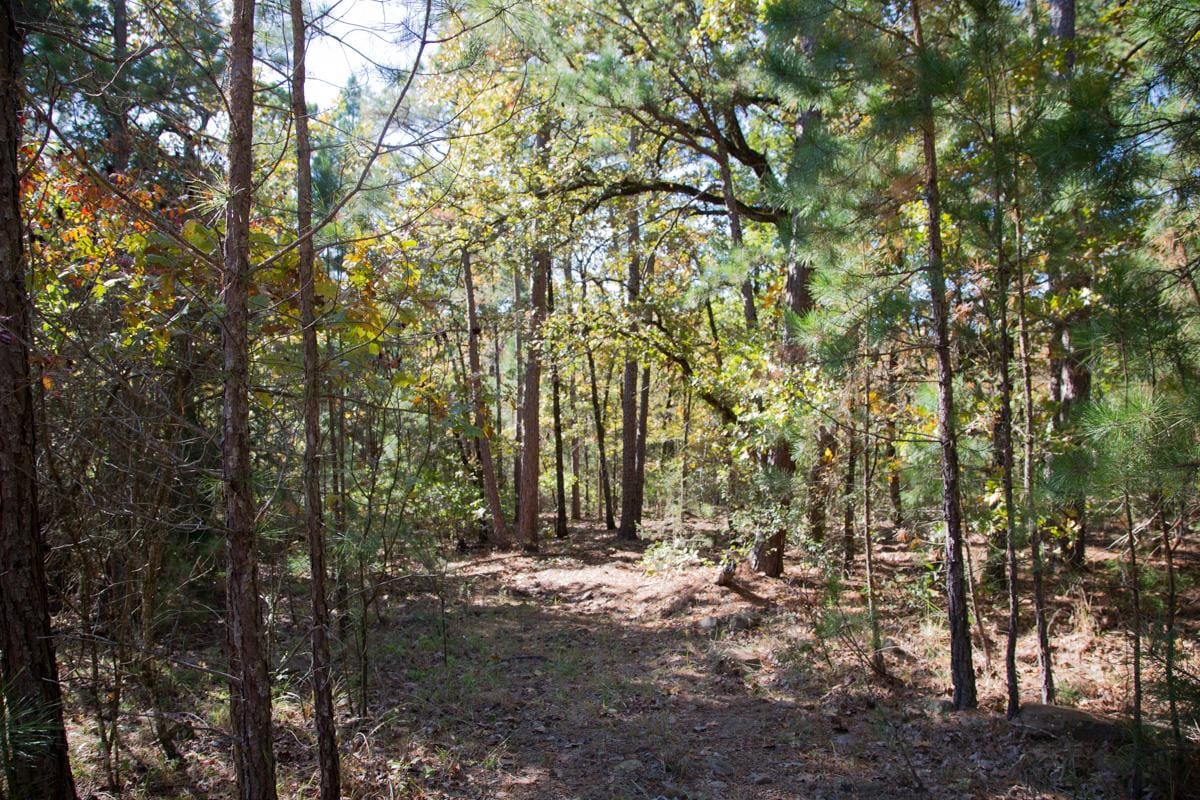 Stone Creek Phase I Tract 188 photo 18