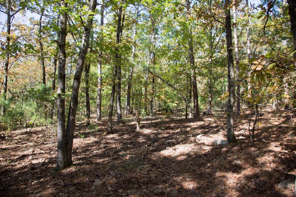 Stone Creek Phase I Tract 188 photo 20