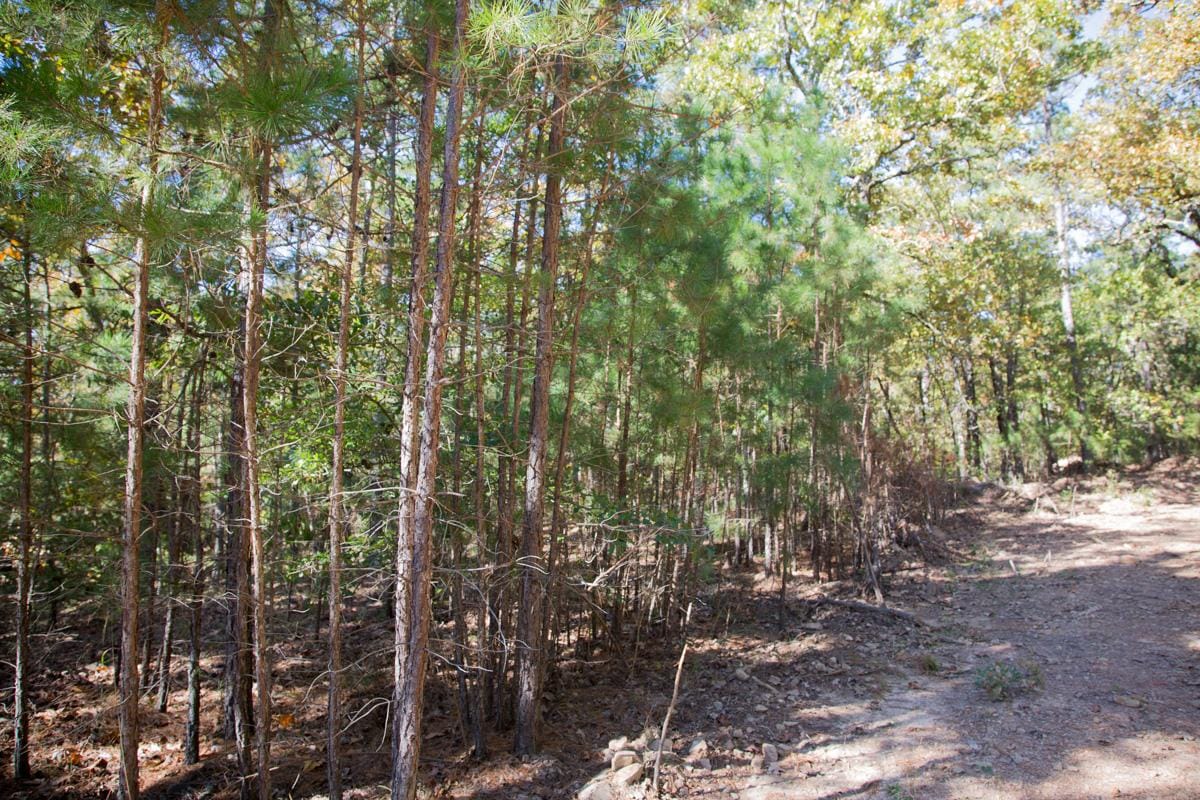 Stone Creek Phase I Tract 188 photo 22
