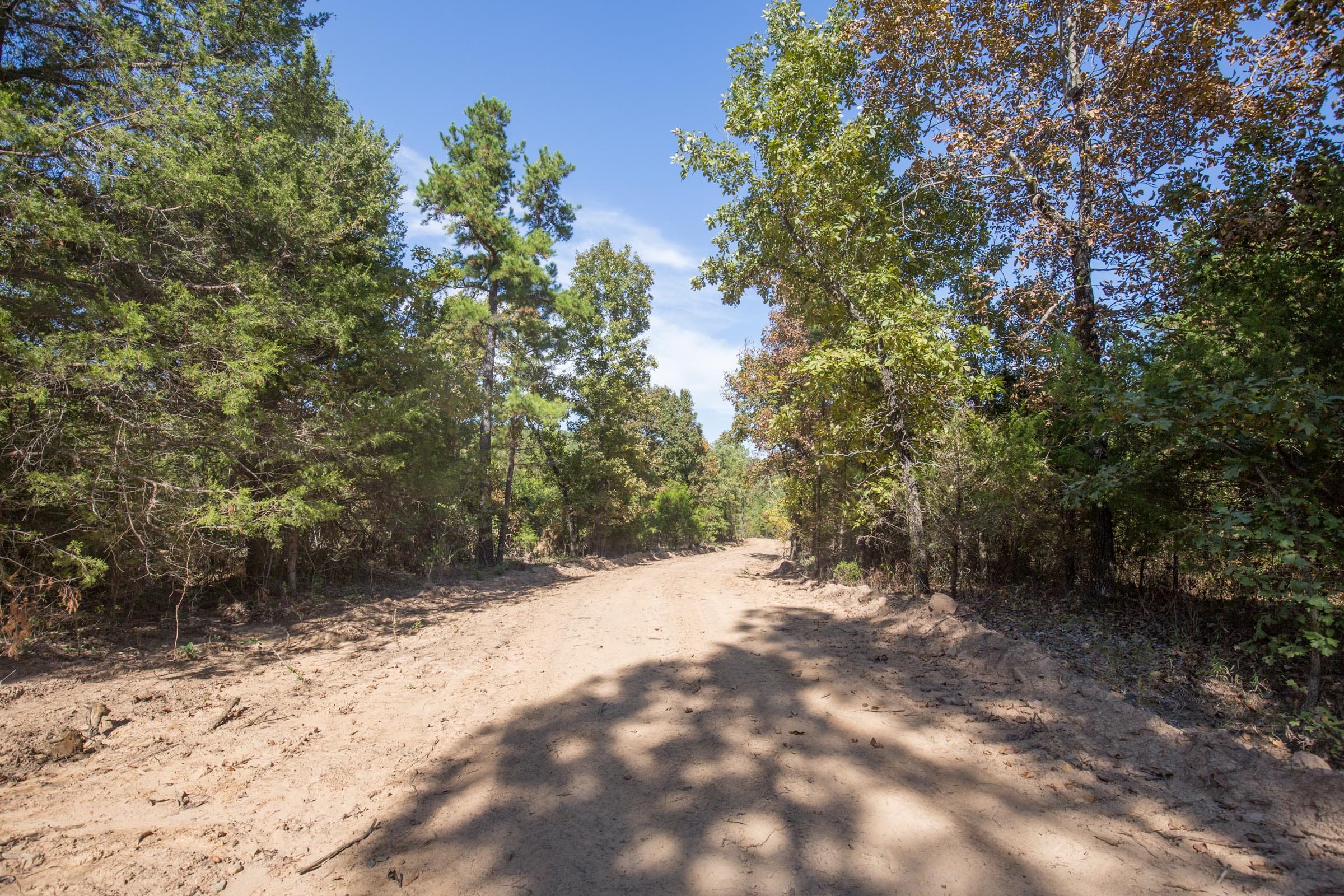 Stone Bridge Phase I Tract 48 photo 5