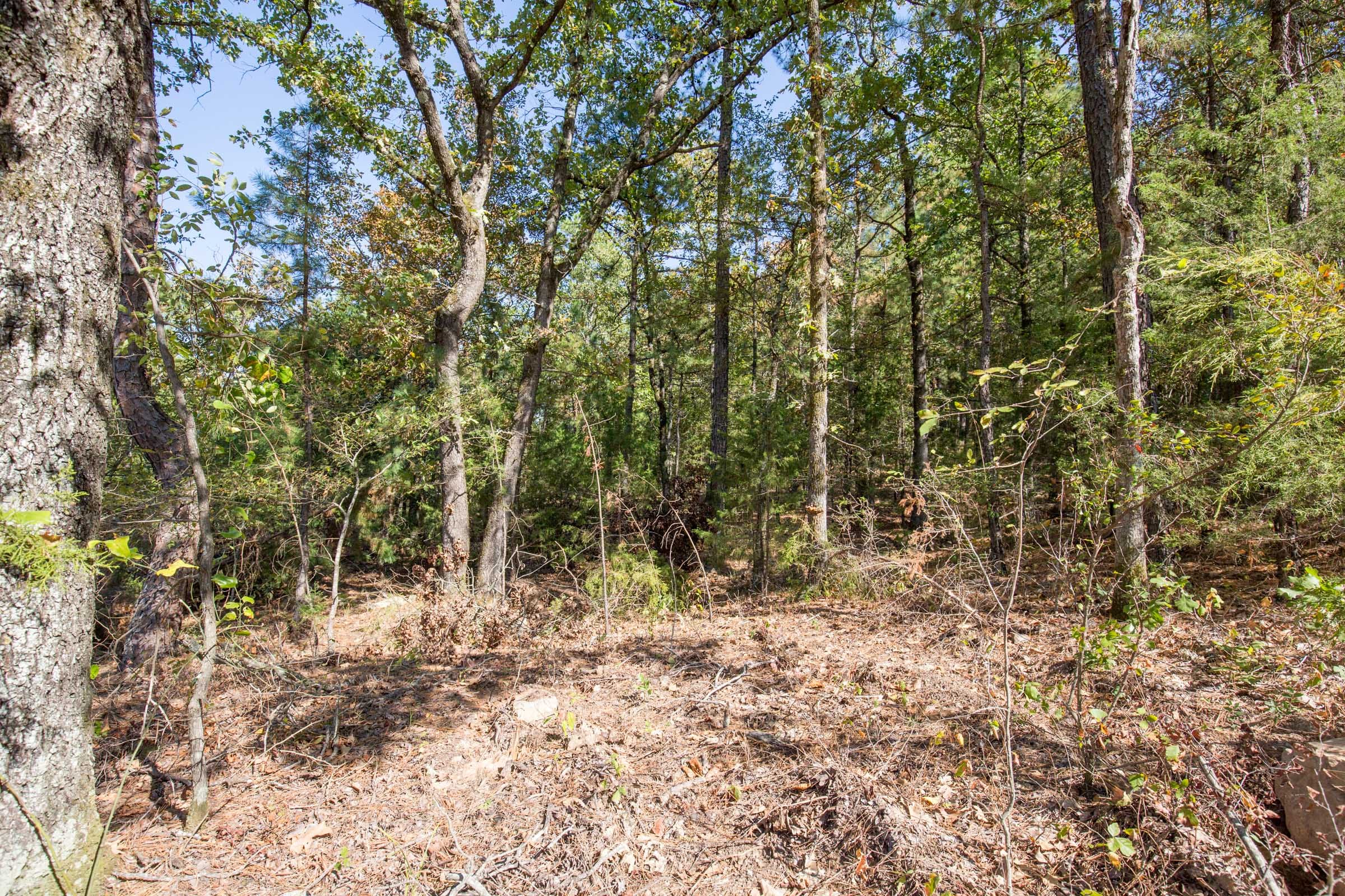 Stone Bridge Phase I Tract 48 photo 7