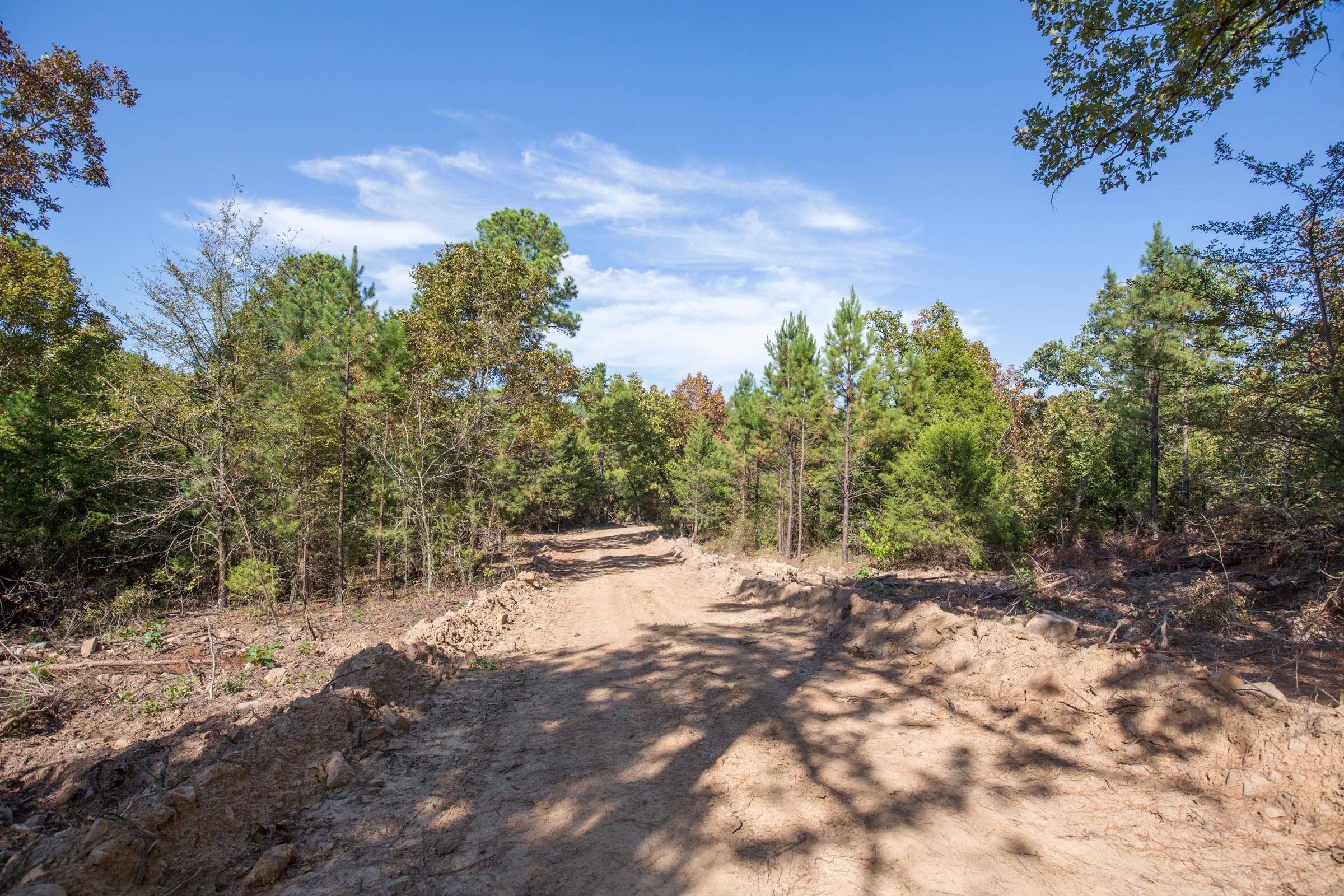 Stone Bridge Phase I Tract 48 photo 8
