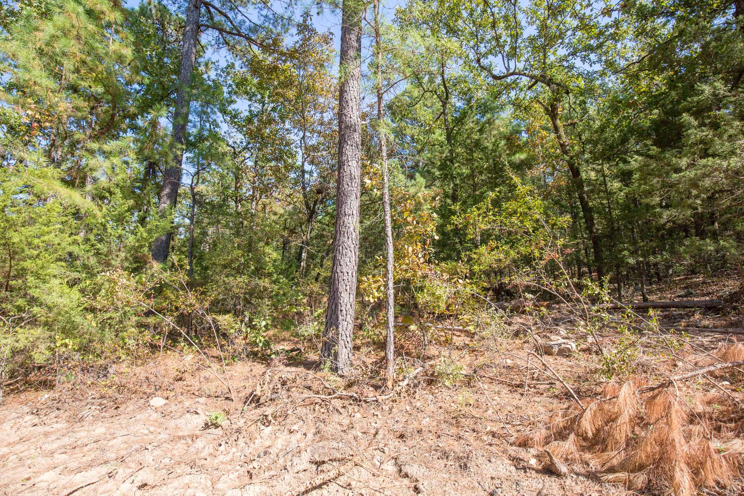 Stone Bridge Phase I Tract 48 photo 9