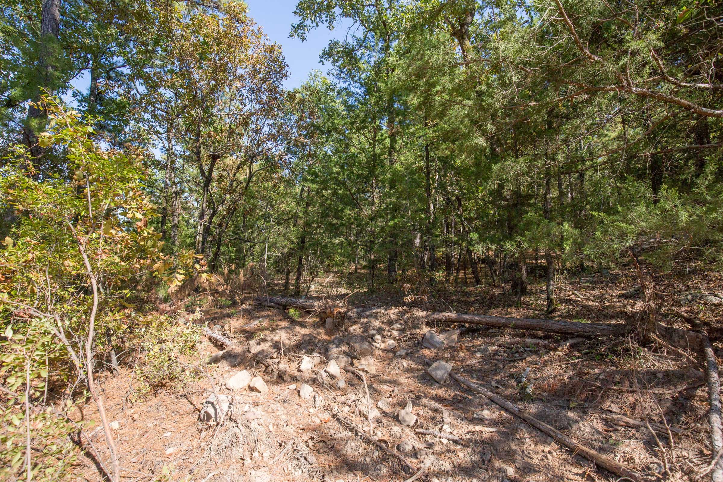 Stone Bridge Phase I Tract 48 photo 11