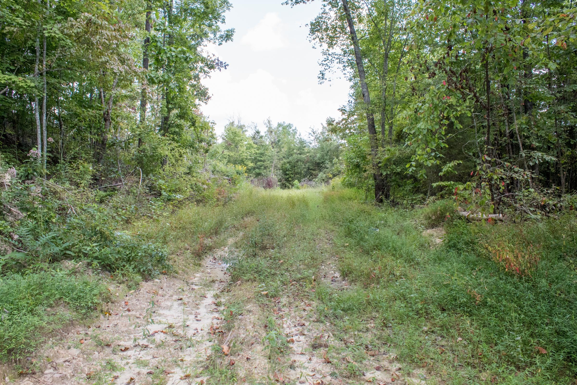 Buck Run Ridge Tract 10 photo 1