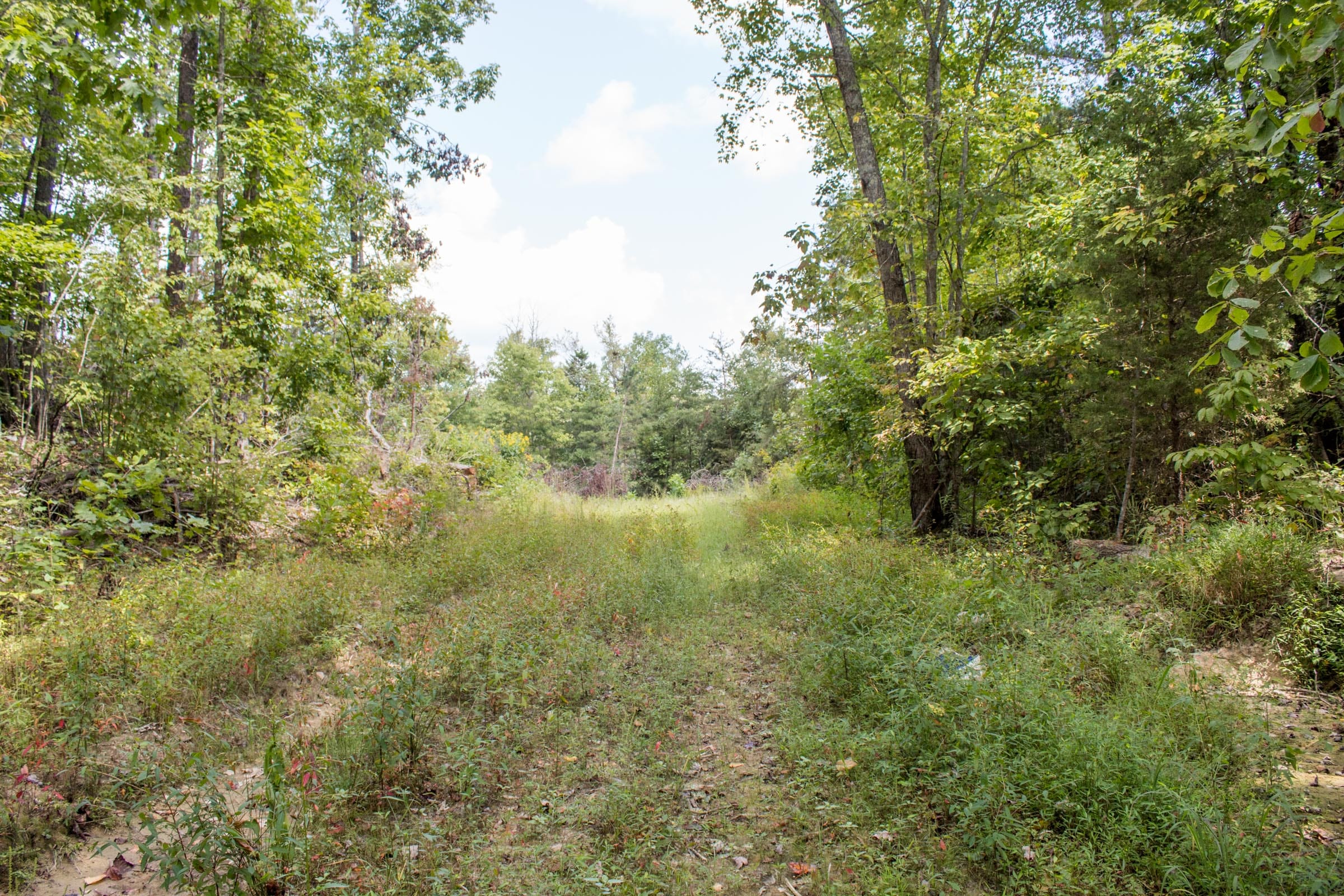 Buck Run Ridge Tract 10 photo 4